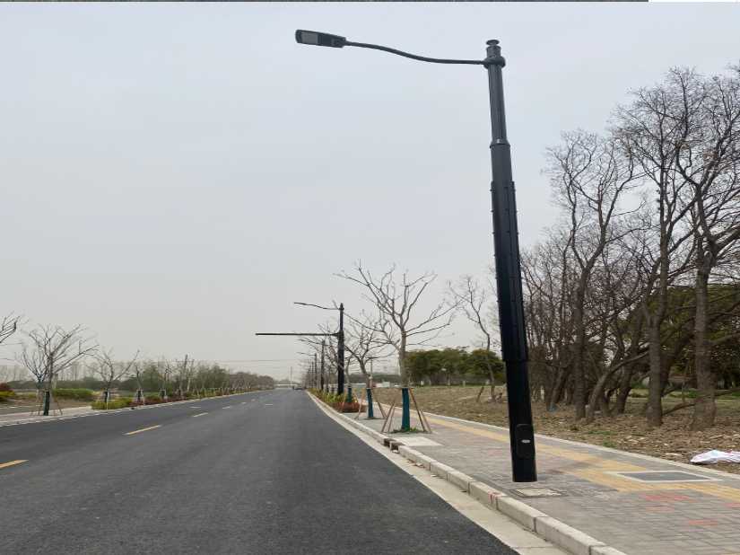 察雅县上海综合杆 太阳能路灯工程